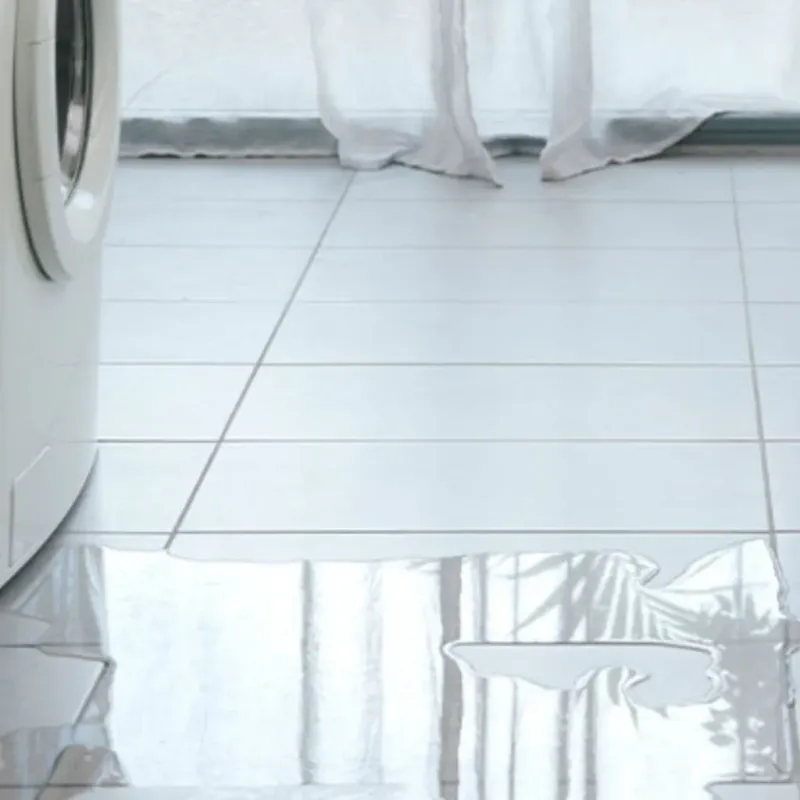Appliance Leak Cleanup in Alton, IA