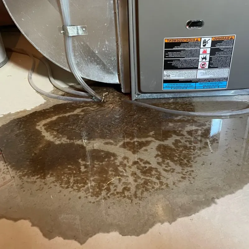 Pipe Burst and Leak Restoration in Alton, IA