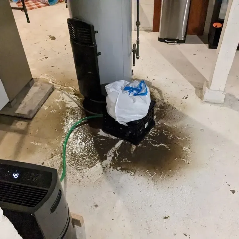 Sewage Backup Cleanup Service in Alton, IA